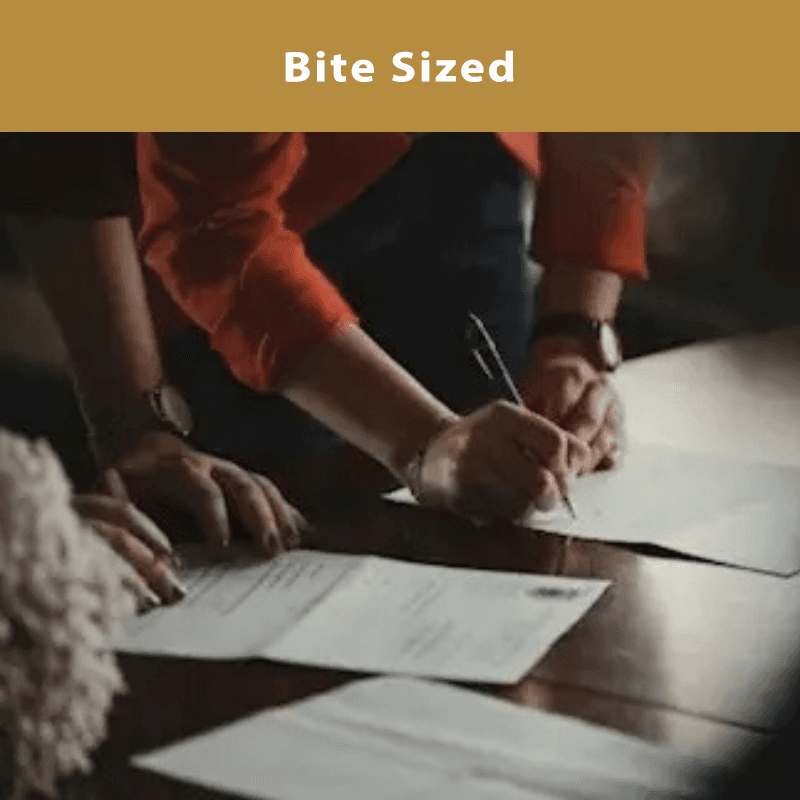 Bite Sized2